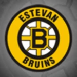 Logo of Bruins android Application 